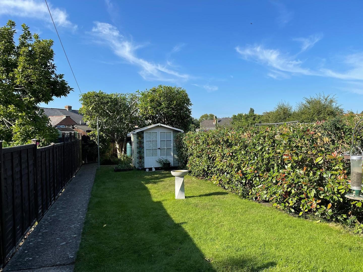 Narrow lawn bordered by a hedge and garden fence