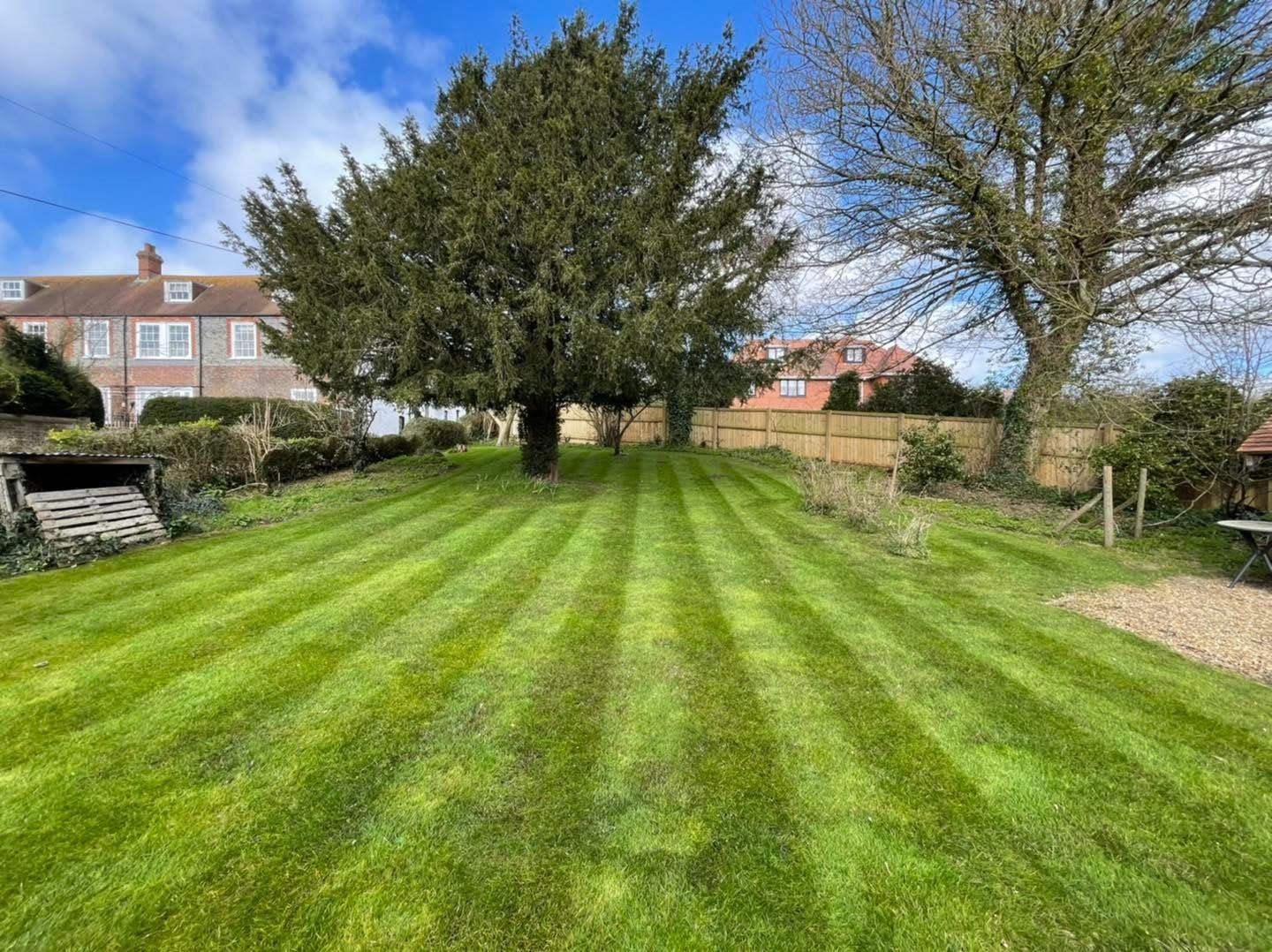 Striped lawn beneath mature garden trees