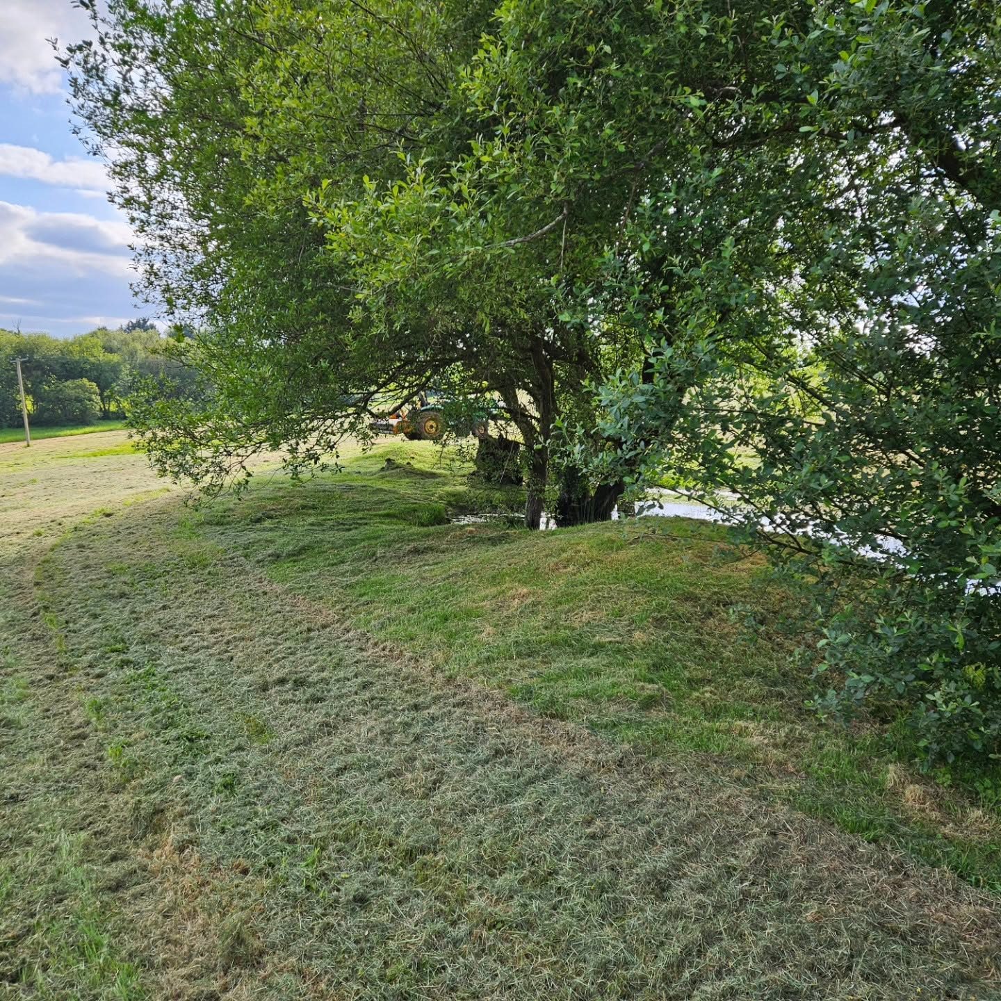 Grass being cut beneath mature trees on a large site