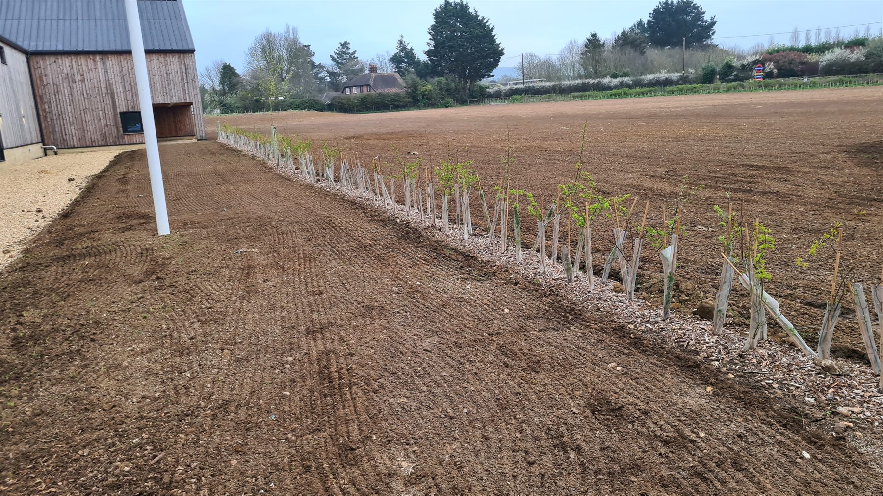 Prepared ground ready for a new grass seed installation