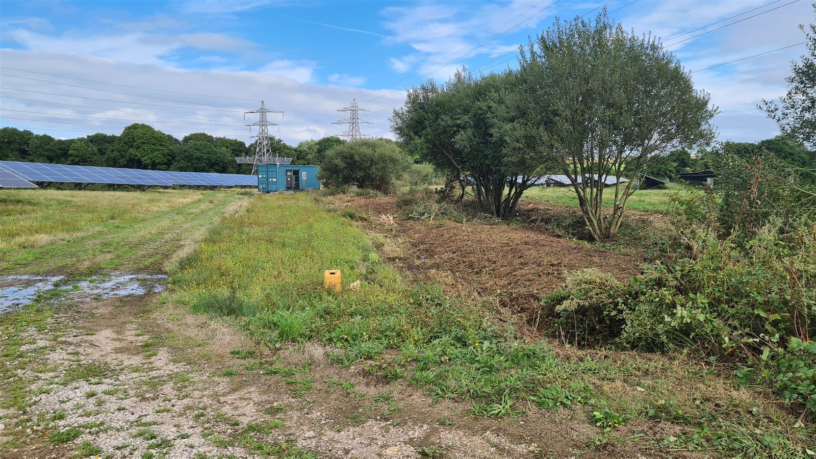 Vegetation cleared around a solar farm ditch