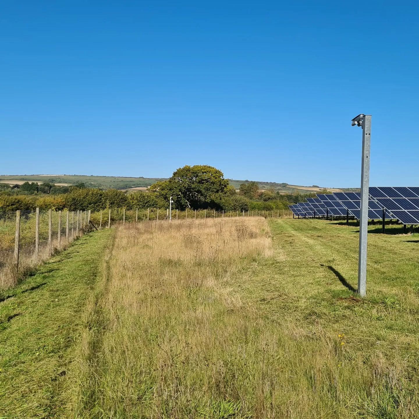 Mown grass and access track alongside solar panels