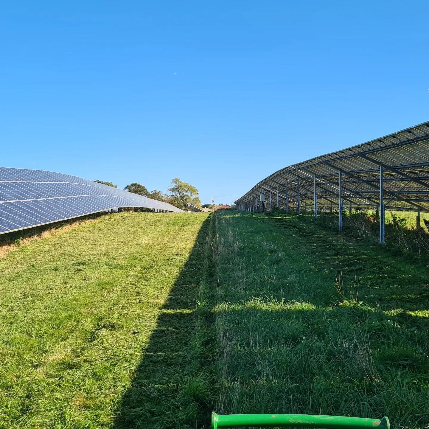 Compact tractor mowing between rows of solar panels