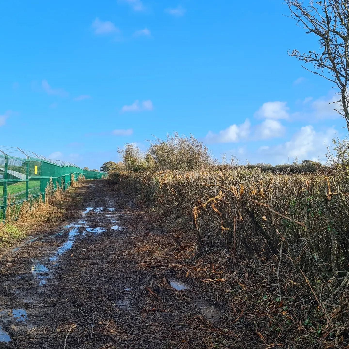 Vegetation clearance along a solar-site boundary