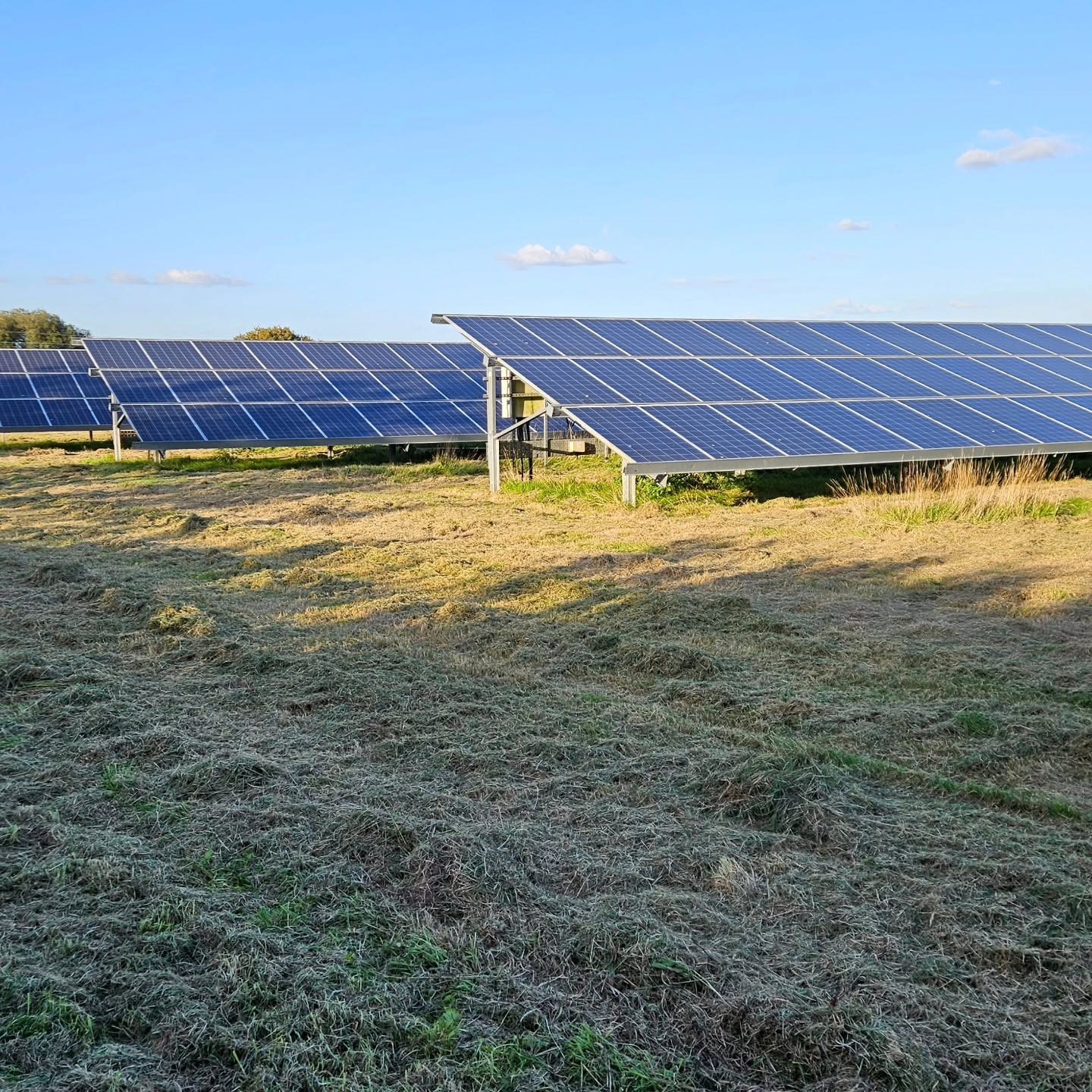 Freshly cut grass around a solar-panel array