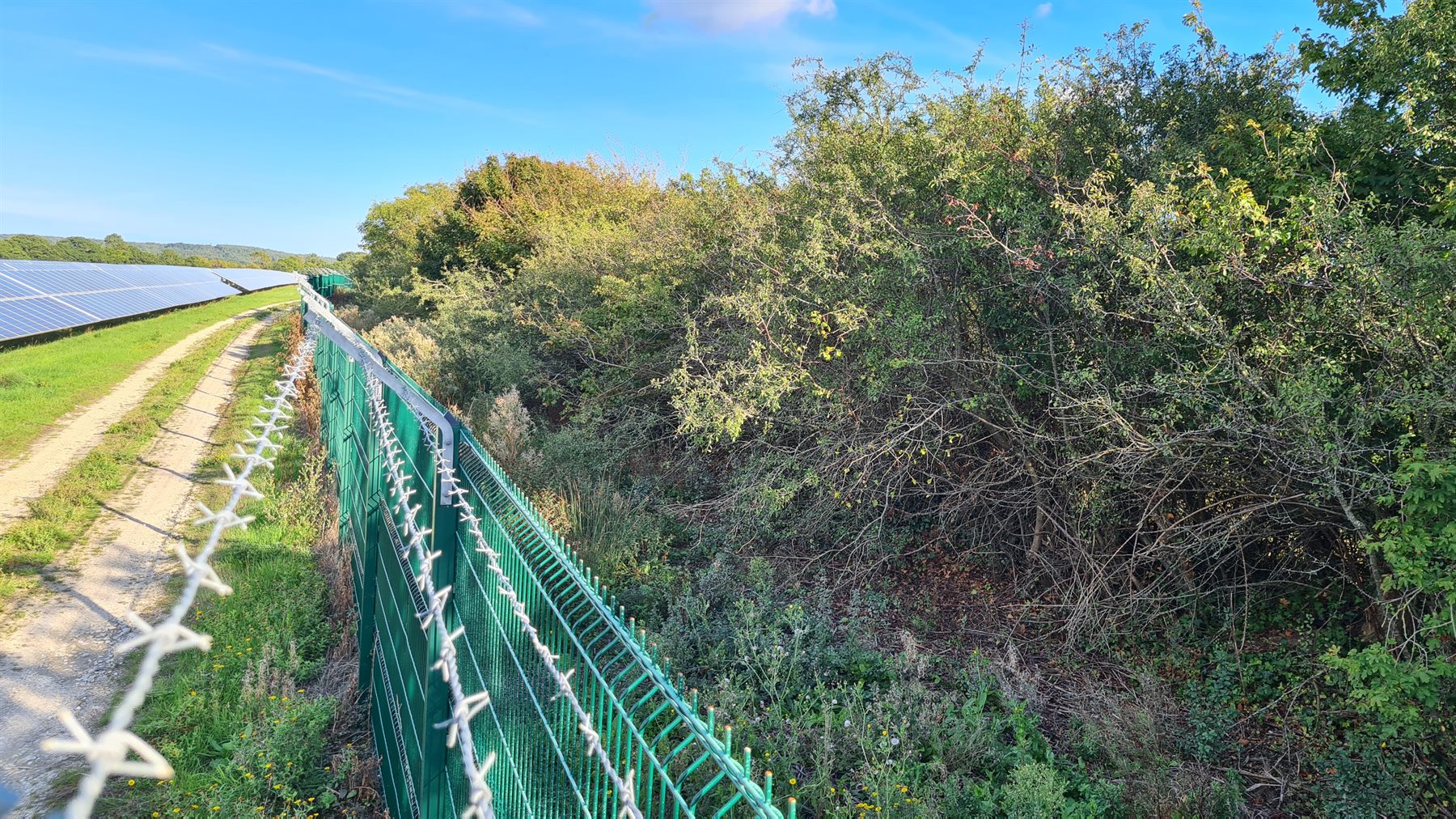 Clear access route beside a solar farm fence and hedgerow