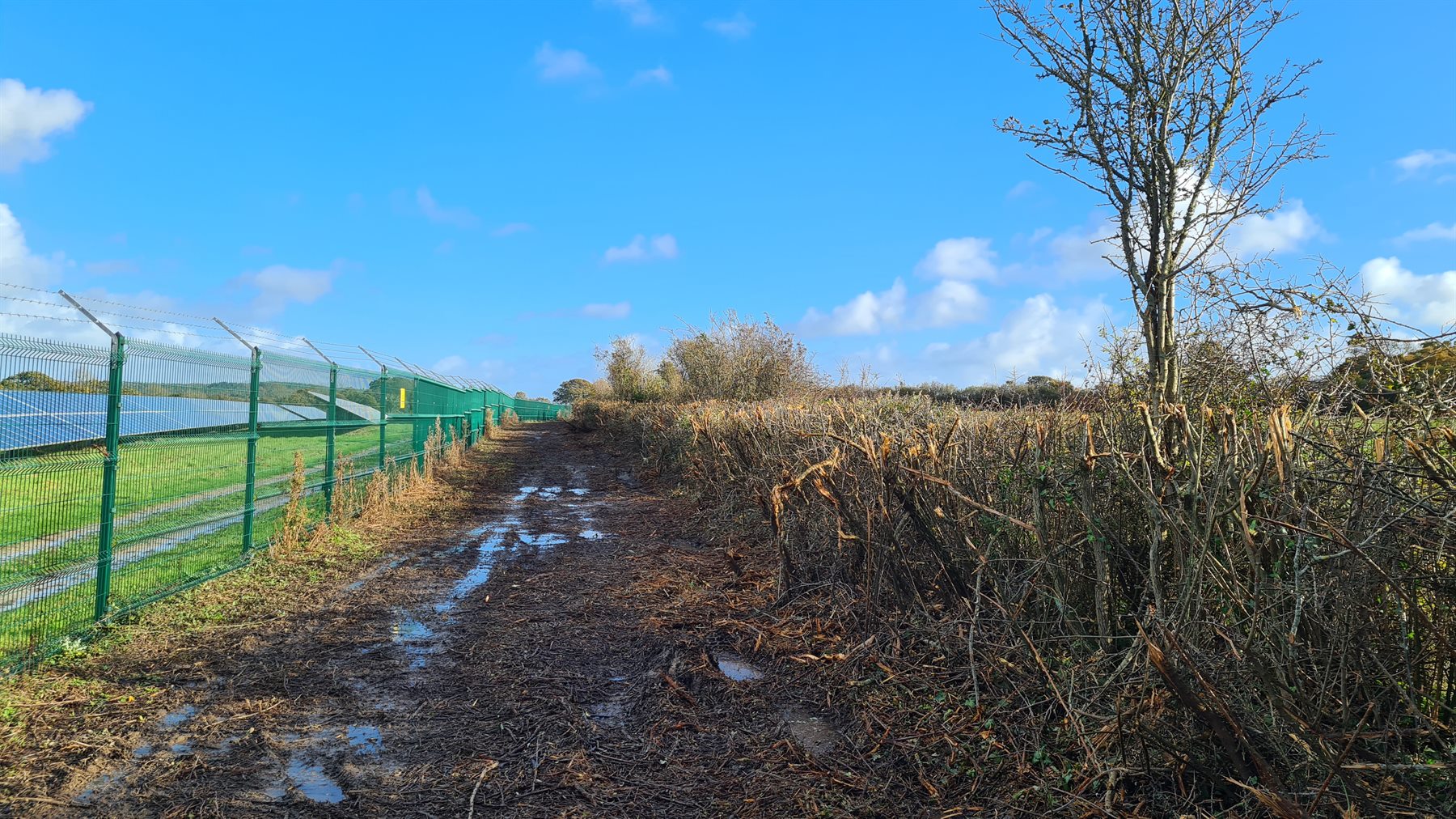Cleared ground at the edge of a solar site