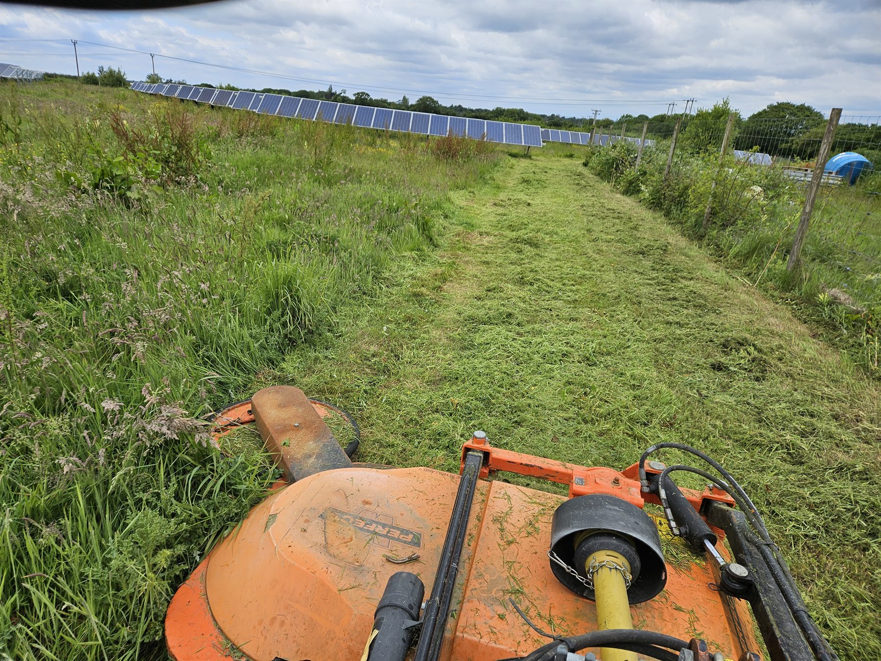 Mown track through vegetation beside solar panels