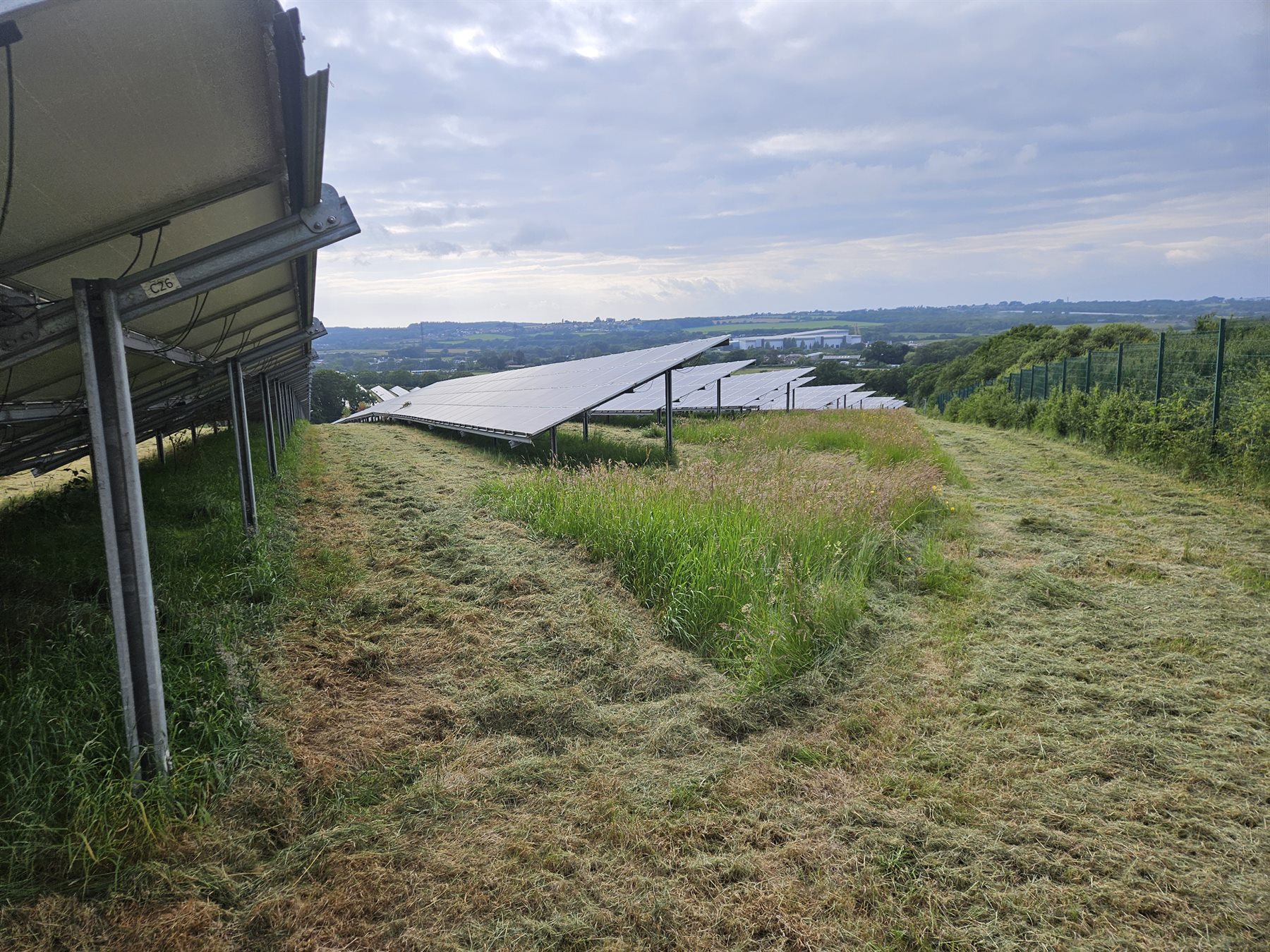 Mown access strip running alongside solar arrays