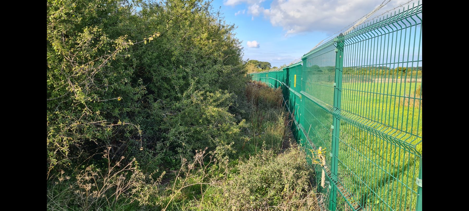 Vegetation cleared along the solar farm perimeter fence