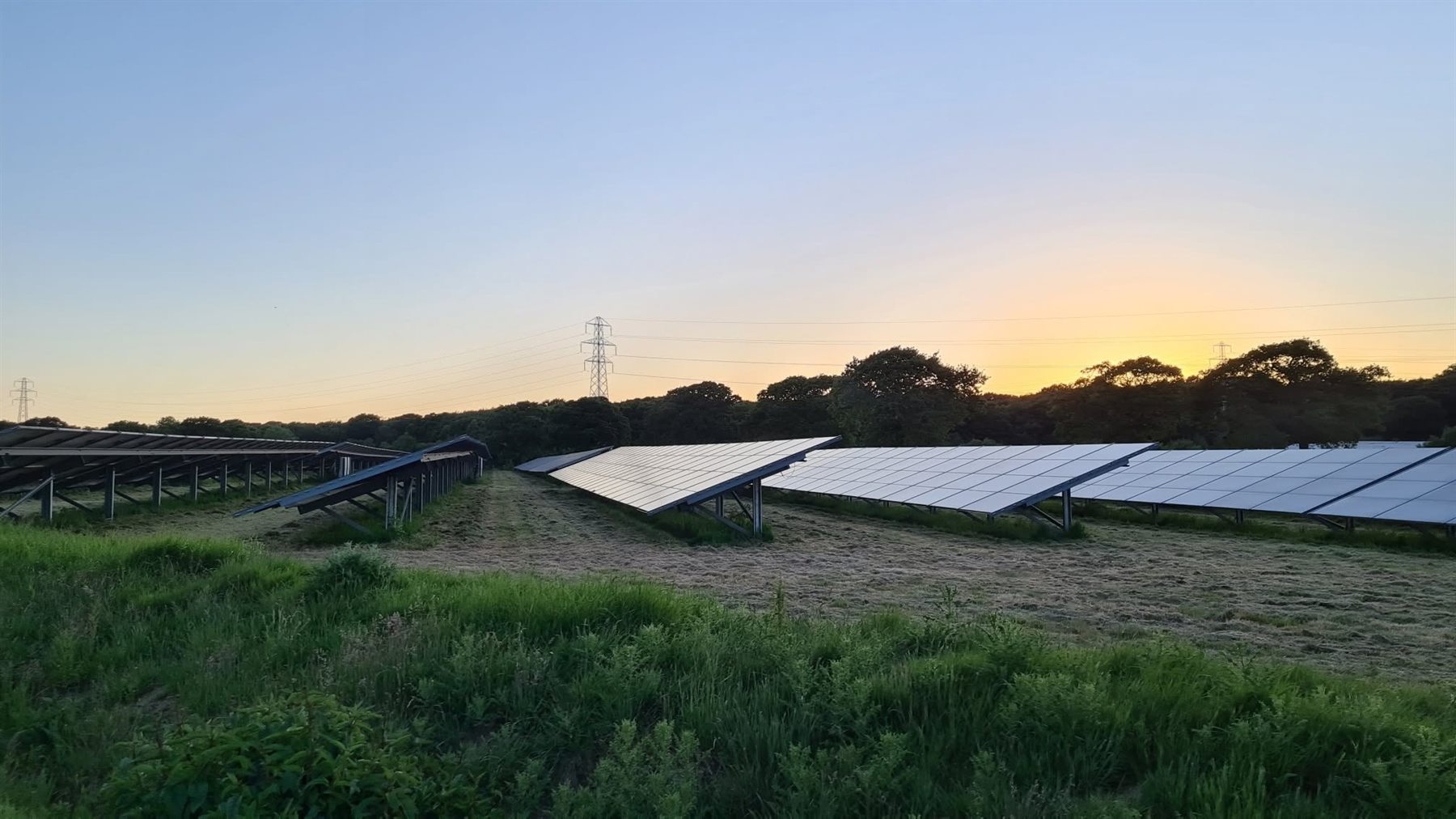 Solar panels and maintained grassland in the evening light