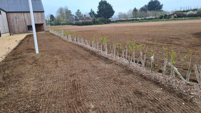 Prepared ground ready for a new grass seed installation
