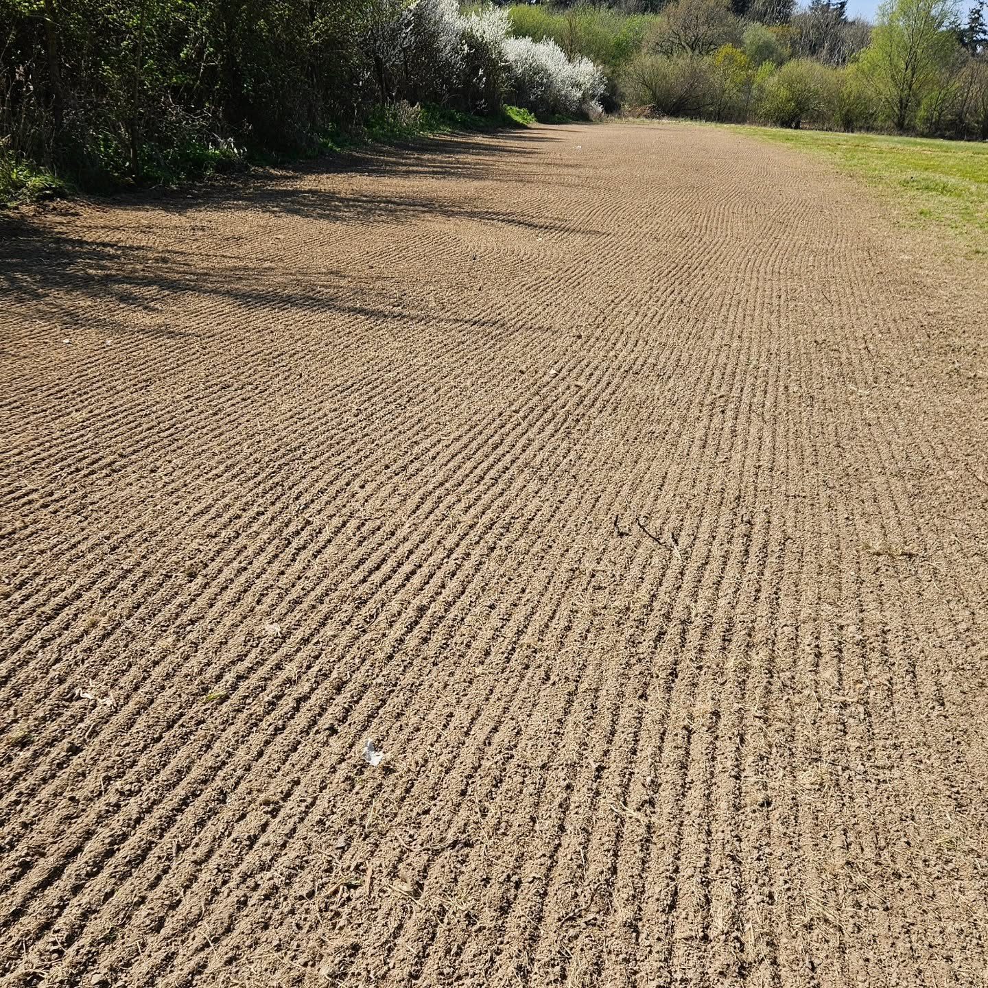Harrowed field ready for a grass or wildflower seed installation